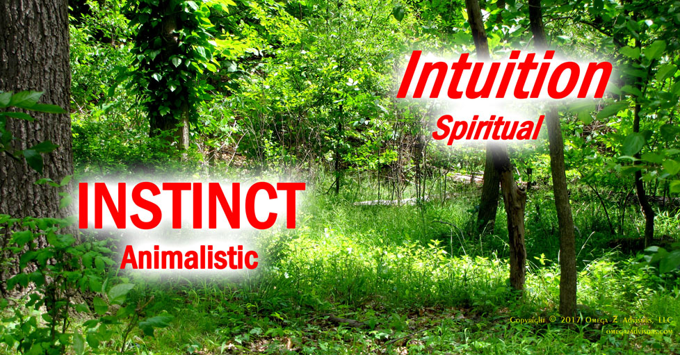 What is the difference between instinct and intuition?