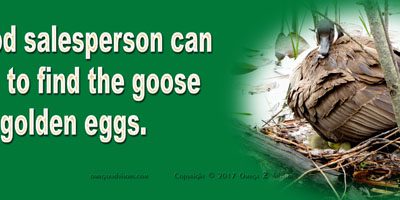 Hiring a good salesperson can be as elusive as trying to find the goose that lays the golden eggs.